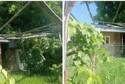 Casa si teren cota parte 3/32 sat Casaria, ID: R2724121 - 9