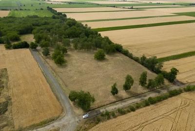 Teren intravilan Sofronea - 2