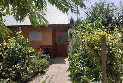 Vand casa noua de vacanta cu o camera plus mansarda - 1