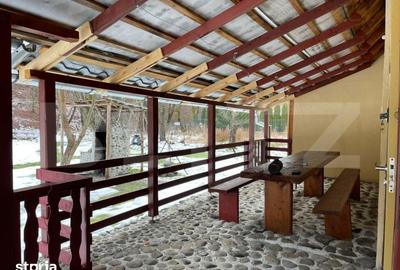 Casă cu 3 camere cu Teren 2460 Mp în Eremitu - 9