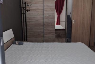 Apartament cu 2 camere decomandat în Dumbrăvița - 5