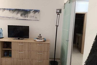 Inchiriere Studio - 2