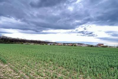 Teren agricol extravilan de 4000 mp, în Aeroport - 1