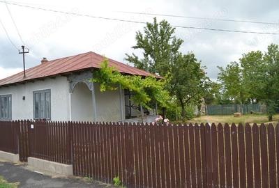 Casă cu 5 camere cu Teren 1447 Mp în Surdila-Greci - 2