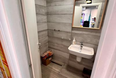 Casă individuală cu 6 camere cu Teren 200 Mp în Kiseleff - 9