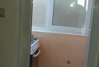 Apartament cu o Camera in Dragasani - 5