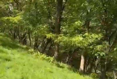 Teren de 2050 mp, în Bărbătești - 3