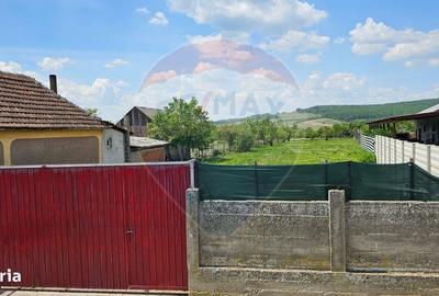 Spațiu comercial, în Ineu - 1