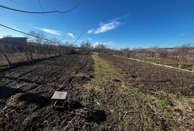 Casă individuală cu 4 camere cu Teren 2700 Mp în Ragla - 1