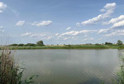 Teren Berceni La Lacuri | Oportunitate Investitie | Teren Berceni La Lacuri | Oportunitate Investitie | - 3