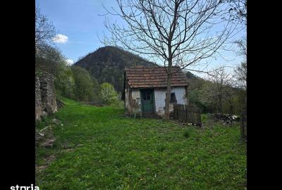 Teren de 3000 mp, în Certeju de Sus - 2