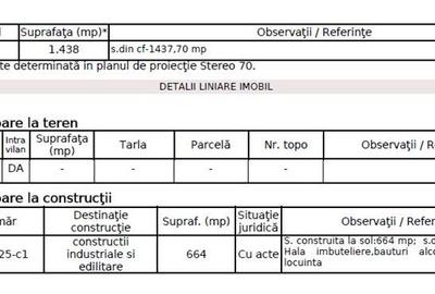 Spațiu industrial, de 11,043 mp, în Dăești - 13