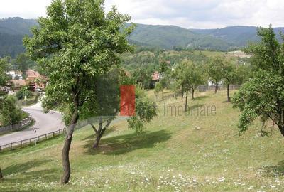 Teren intravilan 3214 mp in Rucar cu deschidere 56 m i... - 1