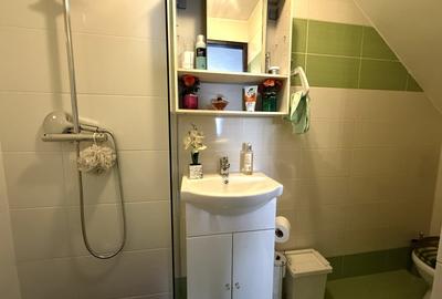 Casa tip duplex cu curte proprie, aproape de padure, in Țeghes - Domnesti IF - 19