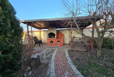 Berceni-Vila de arhitect, P+1+M, gradina 1200mp, - 9