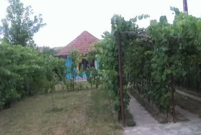 Casă cu 2 camere în Girocului - 2