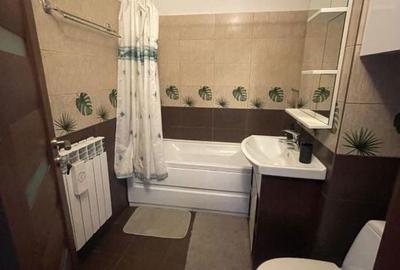 Garsonieră decomandată în Brazda lui Novac - 3