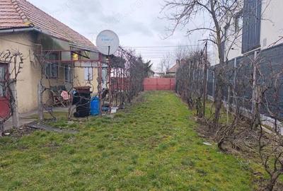 Casă cu 3 camere cu Teren 2000 Mp în Criș - 8