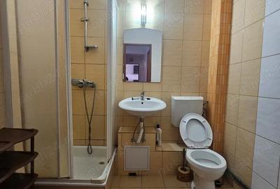 Apartament cu doua camere de inchiriat in Curtea de Arge?. - 5