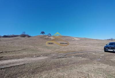 Teren agricol intravilan de 6625 mp, în Nord-Vest - 4