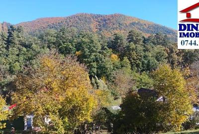 3600 mp teren intravilan, sat Bistrita, 12 Euro/mp - 2