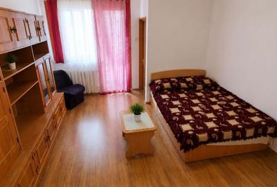 Garsonieră în Brazda lui Novac
