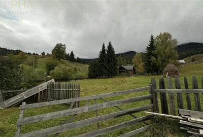 Teren Intravilan de 16.000 mp, Utilitati si Acte in Regula - 5