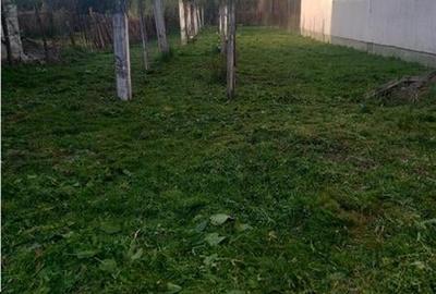Casa 2 camere, Calnic - 5