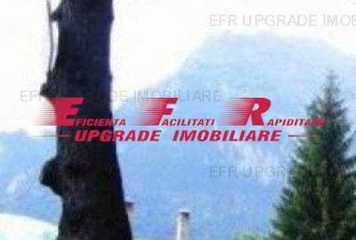 Teren centru (bulevard) Busteni - EFR Upgrade Imobiliare - Teren in centrul oras - 7