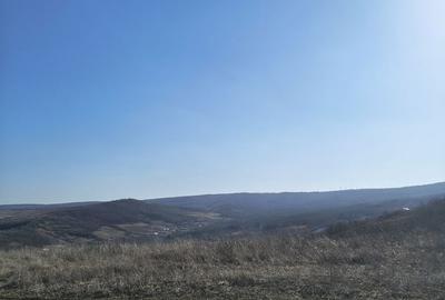 Teren de 510 mp, în Tomești - 7