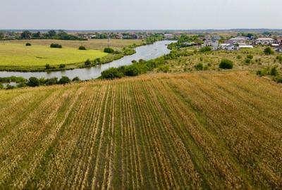 Oportunitate Investitie Teren 5.4HA  Deschidere la Lac, Padure, Paradisul Verde Oportunitate Investitie Teren 5.4HA  Deschidere la Lac, Padure, Paradisul Verde - 3