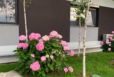 Proprietar, inchiriez apartament cu 2 camere in bloc nou, Pipera-OMV - 1