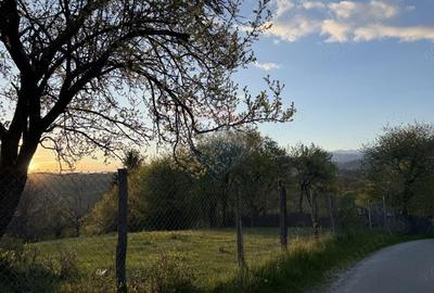 Teren de 15459 mp, în Bughea de Sus