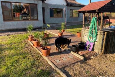 Casă cu 3 camere în Târnăveni - 3