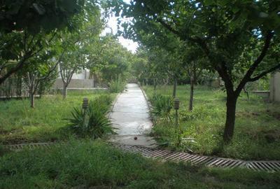 Casă cu 11 camere în Central - 1