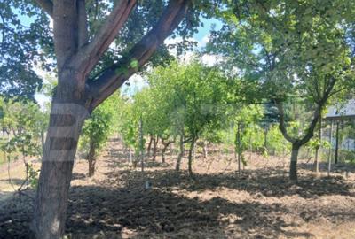 Casa de vanzare 800 mp curte, 32 mp utili, Bratovoe?ti - 9