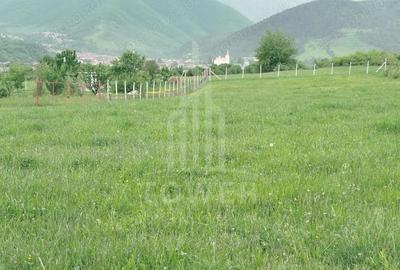 Teren de vinzare in Tropini Vechi - 3