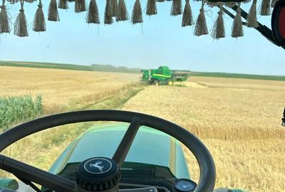 Arendez teren agricol - 1