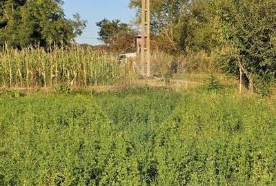 Teren intravilan 1,733mp Mitocasi, Suceava - 19