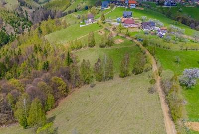 Teren de poveste, intru un sat de poveste Pestera/Moeciu/Brasov - 1