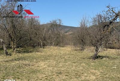 Casă cu 4 camere în Pârău lui Mihai - 13