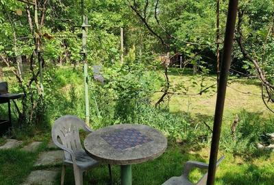 Casă cu 4 camere cu Teren 723 Mp în Victoria - 3