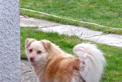 Casă cu 2 camere în Corbii Mari - 6