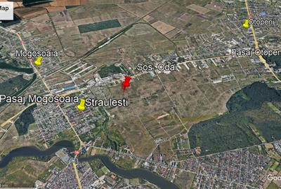 Teren Odai-Straulesti-Piscul Sadului 16.500mp - 2