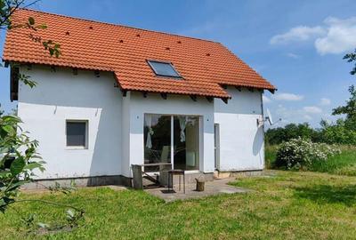 Casă cu 5 camere în Santăul Mare - 1