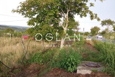 Teren intravilan 1020 mp in Daia Noua, Sibiu -pretabil constructie! Teren intravilan 1020 mp in Daia Noua, Sibiu -pretabil constructie! - 4