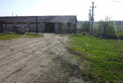 Spațiu comercial, de 700 mp, în Ghelăiești - 6
