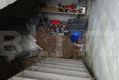 Casa 5 camere 240 mp si teren 20 ari - Odoreu - 8