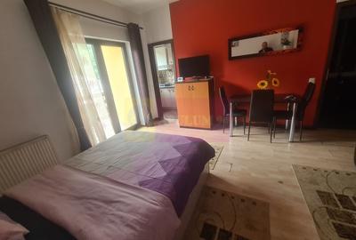 Garsoniera de inchiriat in Sinaia - 3