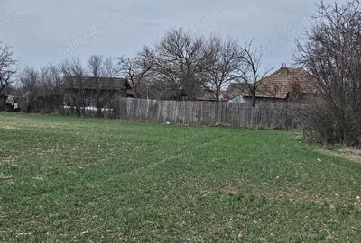 Casă cu 3 camere în Giurgița - 2